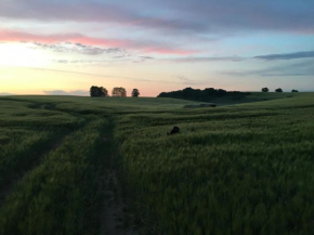 Broockhof Ferienwohnung unterm Sternenhimmel in Mecklenburg